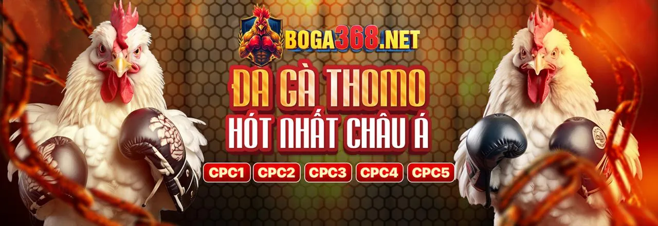 Hình ảnh giới thiệu Sodo Code: Nền tảng giải trí trực tuyến hàng đầu