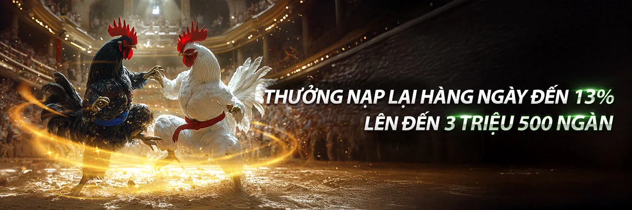 Sân vận động sôi động với cá cược thể thao sodo code