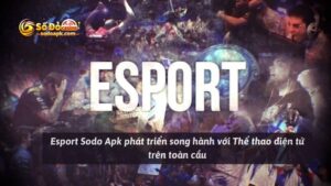 Esport Sodo Apk phát triển song hành với Thể thao điện tử trên toàn cầu